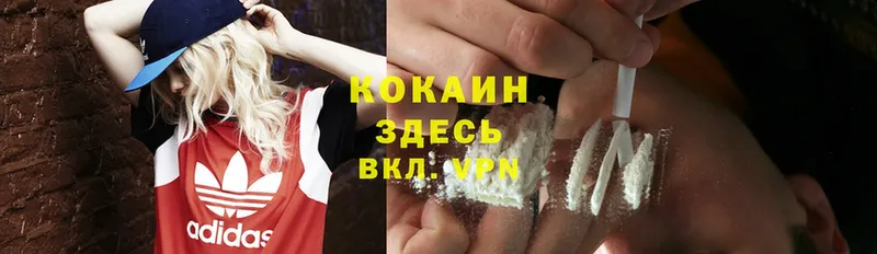 купить наркоту  MEGA онион  Cocaine Боливия  Кондопога 