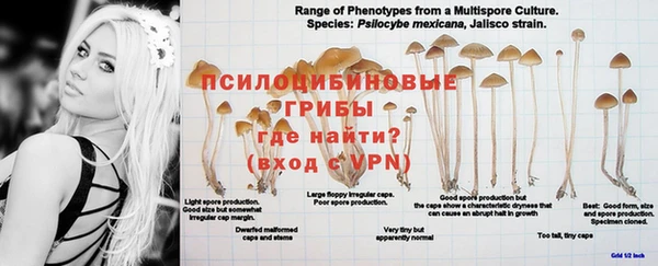 прущие крисы Богородицк